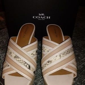 Coach shoes